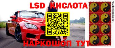 МДПВ Новодвинск