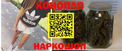 МДПВ Новодвинск