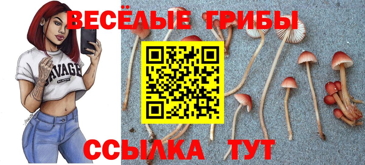 Псилоцибиновые грибы Magic Shrooms Тимашёвск