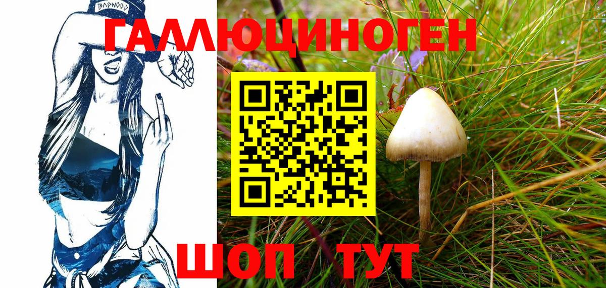 продажа наркотиков  Вход с VPN  Псилоцибиновые грибы Psilocybe  Тимашёвск  Галлюциногенные грибы Psilocybine cubensis 